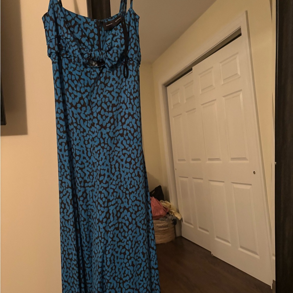 Proenza Schouler Blue and Black Maxi Dress